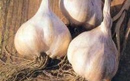 4 rau củ tốt cho người thấp khớp